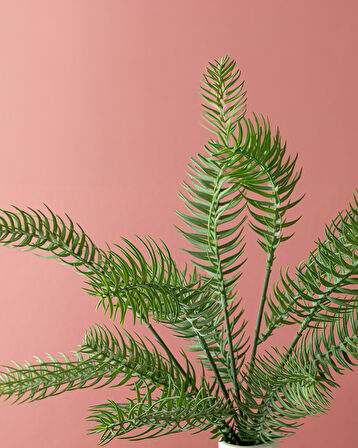 English Home Pine Tek Dal Yapay Çiçek Koyu Yeşil