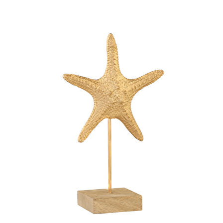 DENİZ YILDIZI DEKOR 10,5*22*35 CM