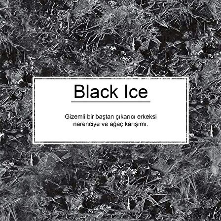 Little Trees Black Ice Asma Oto Kokusu 12 Adet