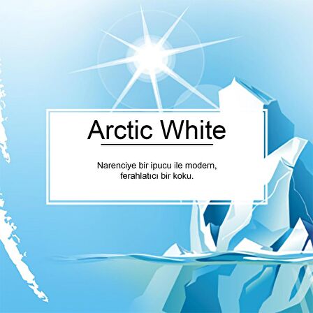 Little Trees Arctic White Ferahlığı Aromalı Oto Kokusu 12 Adet