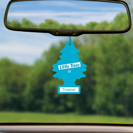 Little Trees Tropikal Aromalı Asma Oto Kokusu 12 Adet