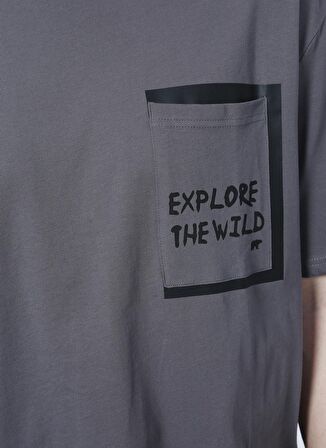 Bad Bear O Yaka Baskılı Gri Erkek T-Shirt 22.01.07.044_EXPLORE T-SHIRT