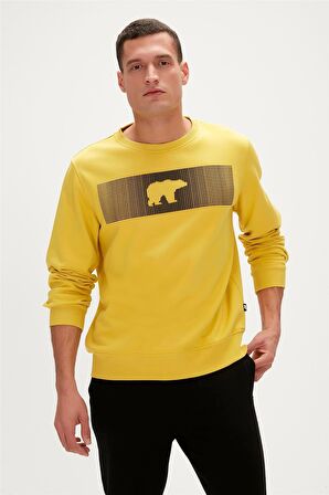 Fancy Crewneck Cider Sarı 3D Baskılı Erkek Sweatshirt