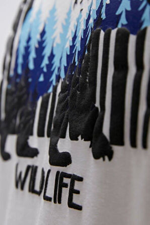 BAD BEAR ERKEK REID OS TİŞÖRT 25.01.07.025