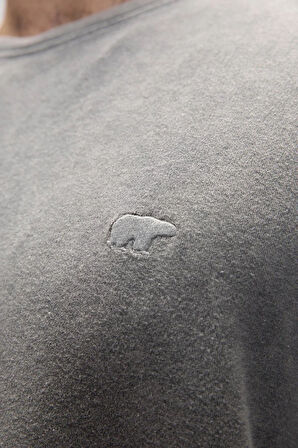 BAD BEAR WILD t-shirt ERKEK t-shirt 25.01.07.057