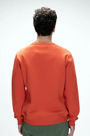 Adventure Tarçın Crewneck Erkek Baskılı Sweatshirt
