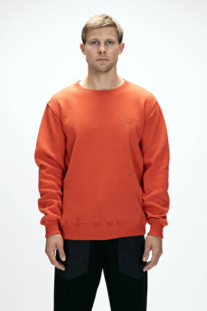 Windy Tarçın Crewneck Erkek Baskılı Sweatshirt