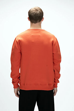 Windy Tarçın Crewneck Erkek Baskılı Sweatshirt