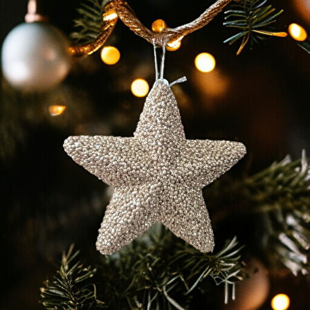 YILBAŞI AĞAÇ SÜSÜ 15CM YILDIZ ŞAMPANYA AST7216