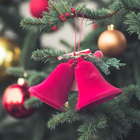 YILBAŞI KADİFE ÇAN BORDO 2LI 10x20CM AST7302