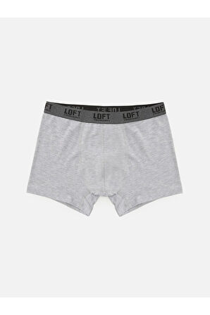 Loft Regular Fit Erkek Boxer LF2029987