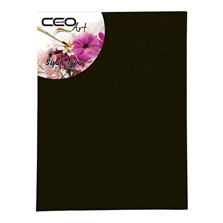 Ceoart 25X35 Siyah Tuval Ceo-Tu0012