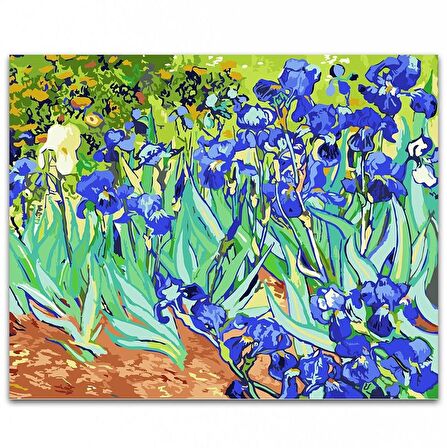 MOR ÇİÇEKLER NUMARALI TUVAL 40X50CM