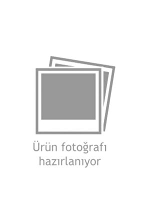 Oyuncak Dinozor Dünyası CTOY-929-80