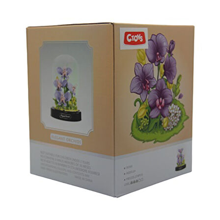 Ctoy Fanuslu Çiçek Serisi Elegant Orkide Lego Seti 365 Parça