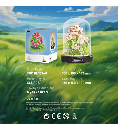 Ctoy Fanuslu Çiçek Serisi Parlak Gül Lego Seti 365 Parça