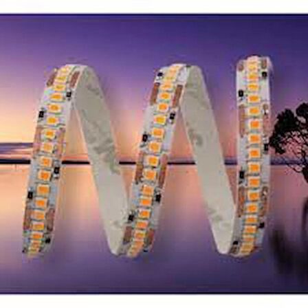 Cata CT-4538 Gold 240 Ledli İç Mekan Şerit Led 5 Metre AMBER