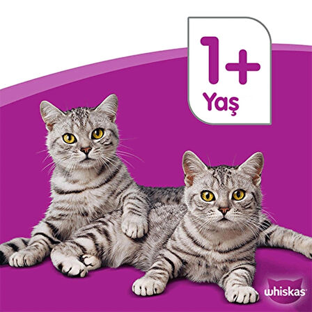 Whiskas Ton Balıklı Konserve Yaş Mama 400 G 12X