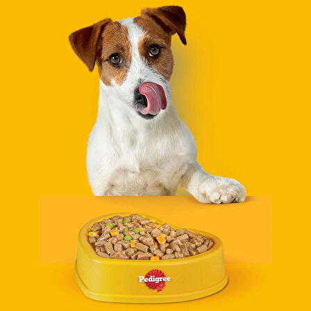 Pedigree Jumbone Sığır Etli Ödül Maması 180 G 4X