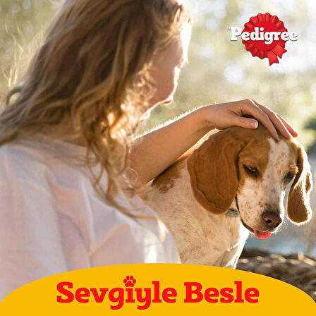 Pedigree Jumbone Sığır Etli Ödül Maması 180 G 4X