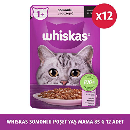 WHİSKAS SOMONLU POŞET YAŞ MAMA 85 G 12X