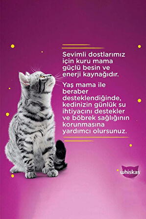 Whiskas Sığır Etli 400 gr 24'lü Yetişkin Kedi Konservesi