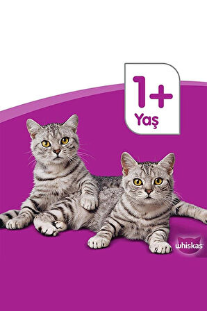 Whiskas Sığır Etli 400 gr 24'lü Yetişkin Kedi Konservesi