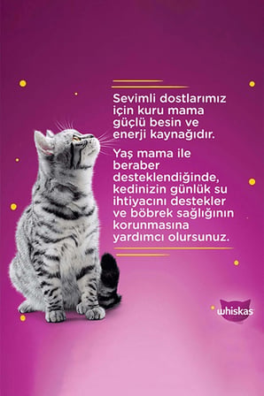 Balık Çeşitli Kedi Maması 4'lü 340 gr 12x