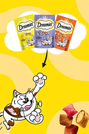 Dreamies Somonlu Kedi Maması 60 gr 6x