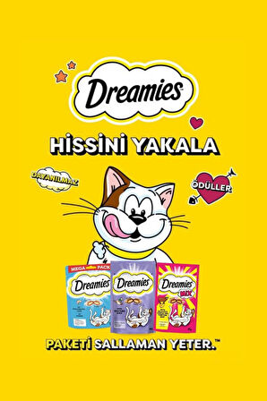 Dreamies Somonlu Kedi Maması 60 gr 6x