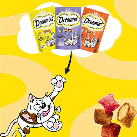 Dreamies 60 gr 6'lı Kedi Ödül Maması