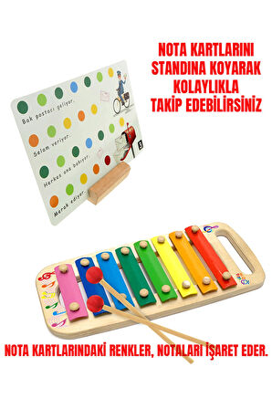 Hİ-Q TOYS KSİLOFON RENKLERLE NOTA