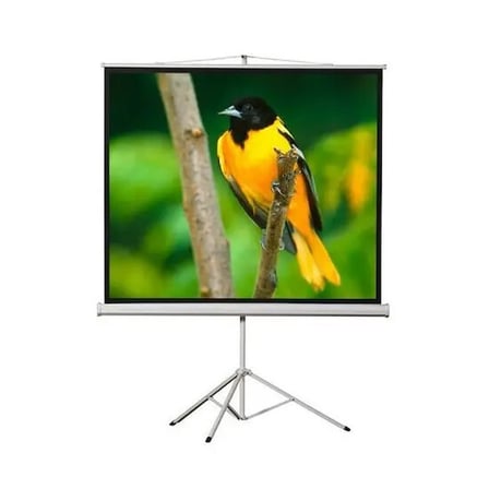 Peak T100 200×200(100inch)Tripod Projeksiyon Perdesi