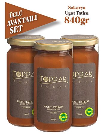 Toprak Doğal Uğut Nevruz Tatlısı 3 X 280 G