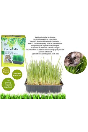 Gardenmix Büyük Kutu Kedi Çimi