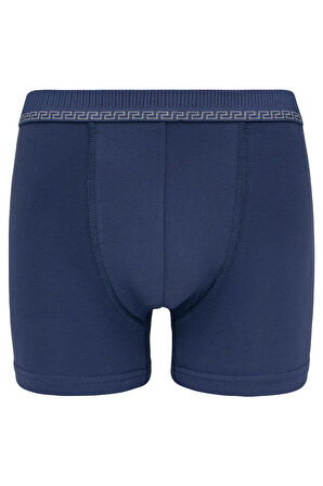 Biyo Xtreme Erkek Boxer 5'li Paket Pamuklu 3104 5'li Bordo