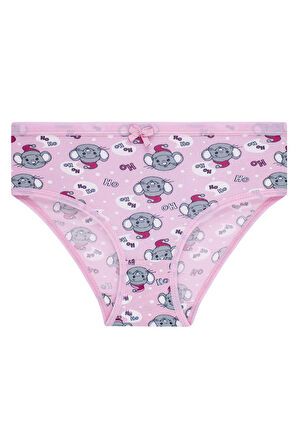 Kız Çocuk 5'li Renkli Slip Külot - Mouse -