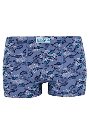 Erkek Çocuk 5li Paket Karışık Renk Baskılı Boxer