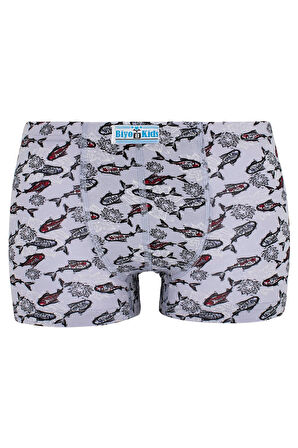 Erkek Çocuk 5li Paket Karışık Renk Baskılı Boxer