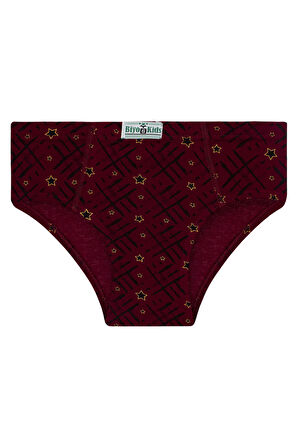 Erkek Çocuk 5'li Paket Renkli Slip Külot