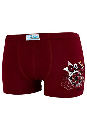 Erkek Çocuk Boxer 5 Li Paket Karışık Renk Baskılı Boxer