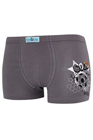 Erkek Çocuk Boxer 5 Li Paket Karışık Renk Baskılı Boxer