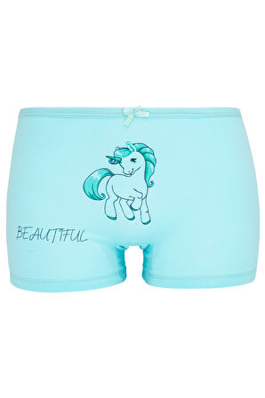 BYO 1848 5 Lİ BOXER