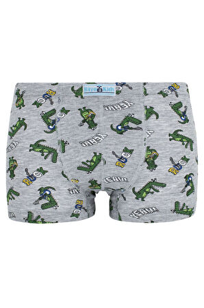 BYO 2491 5 Lİ BOXER RENKLİ