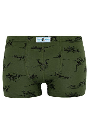 BYO 2491 5 Lİ BOXER RENKLİ