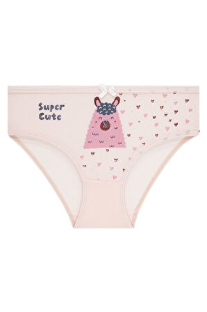 Kız Çocuk 5'li Paket Renkli Slip Külot