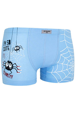Erkek Çocuk Örümcek Desenli Boxer 5 Li Paket Karışık Renk Baskılı Boxer Byo2494