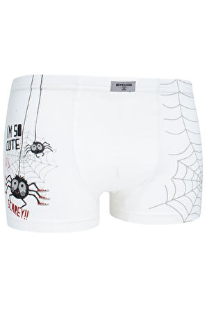 Erkek Çocuk Örümcek Desenli Boxer 5 Li Paket Karışık Renk Baskılı Boxer Byo2494