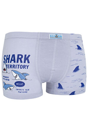 Erkek Çocuk Boxer 5 li Paket Karışık Renk Baskılı Boxer