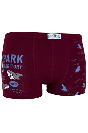 Erkek Çocuk Boxer 5 li Paket Karışık Renk Baskılı Boxer
